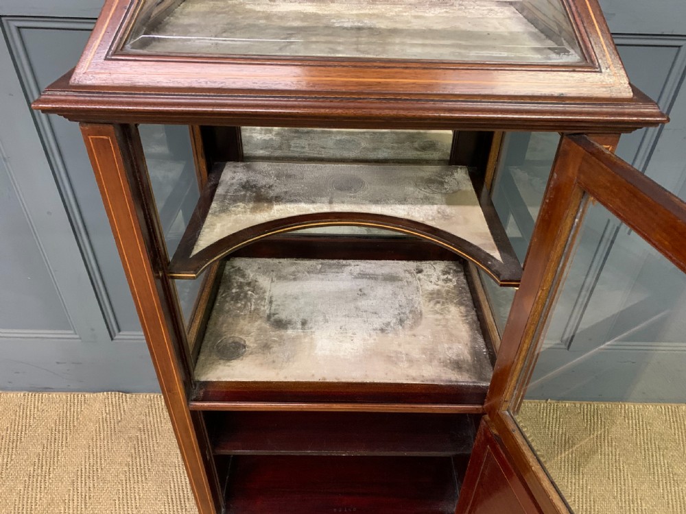 Inlaid Mahogany Bijouterie Cabinet View XI