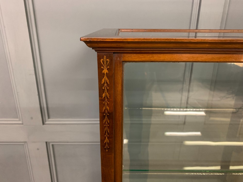 Inlaid Mahogany Display Cabinet View III