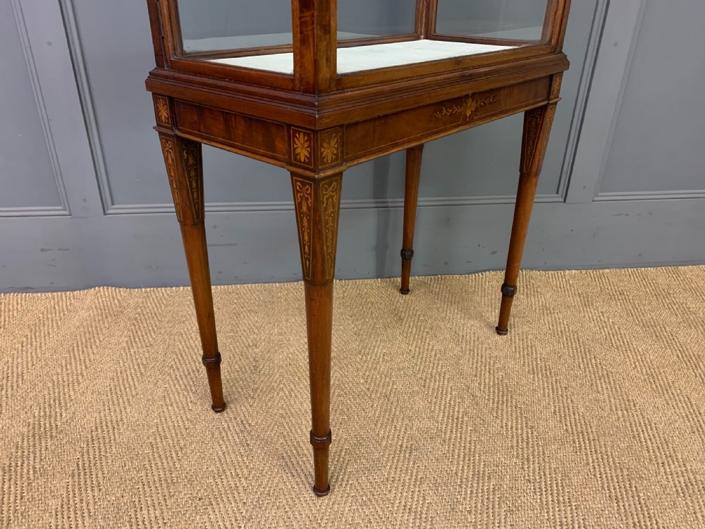 Inlaid Mahogany Display Cabinet View IX