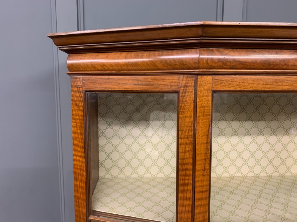 Burr Walnut Display Cabinet View VII