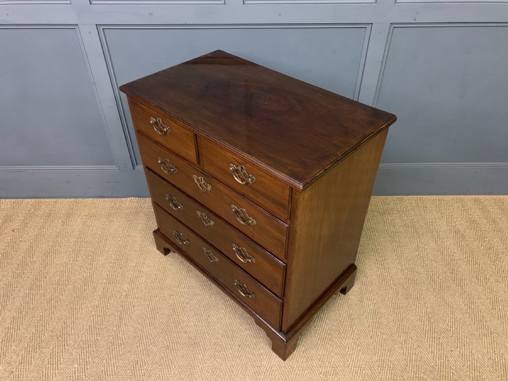Georgian Mahogany Bachelors Chest View XI