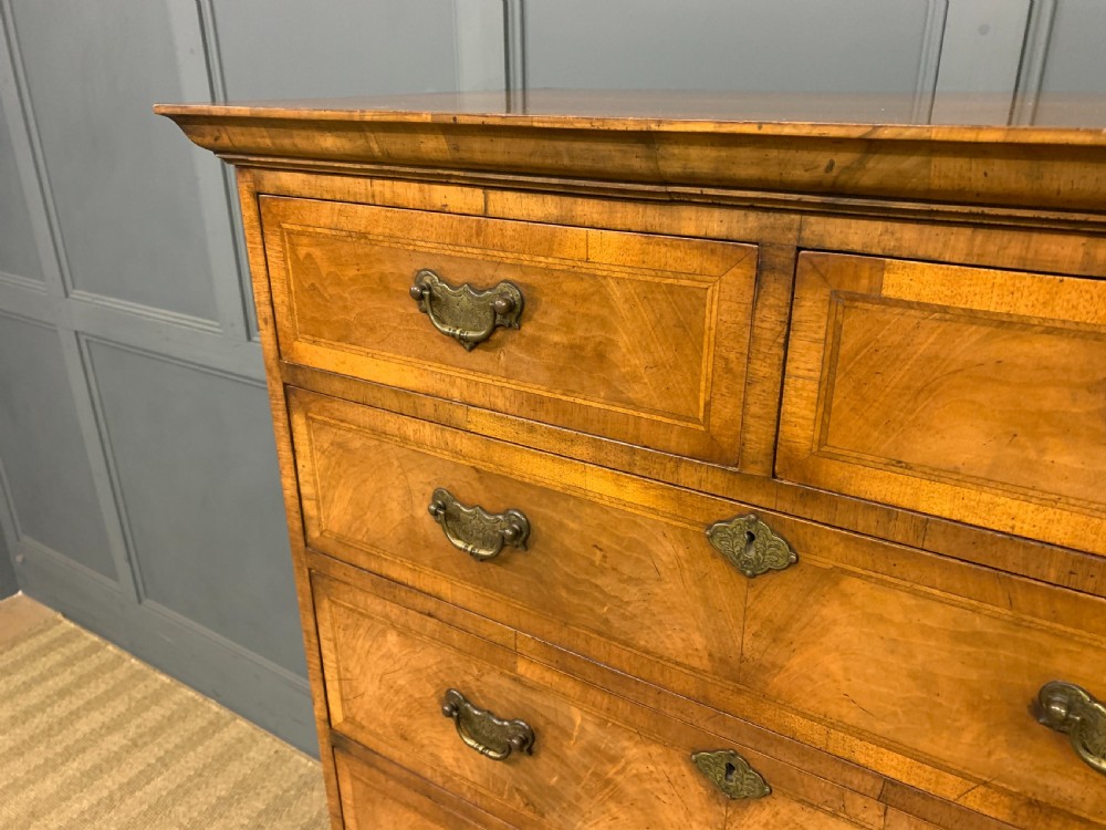 Burr Walnut Chest on Stand or Tallboy View III