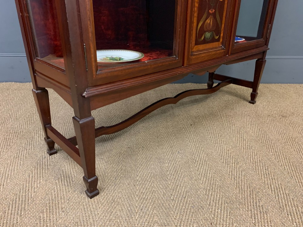 Shapland and Petter Mahogany Display Cabinet View XIII