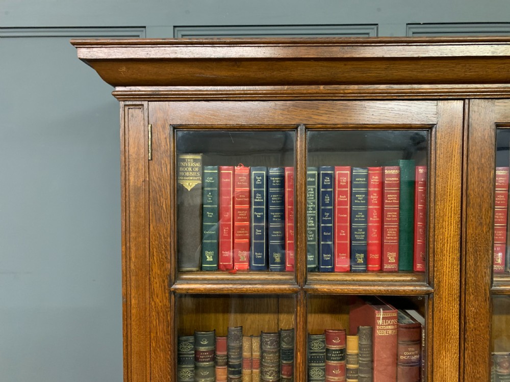 Oak Glazed Bookcase View XI