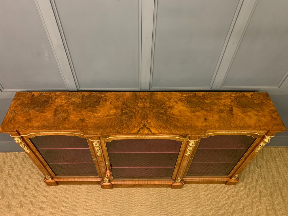 Victorian Burr Walnut Side Cabinet View VIII