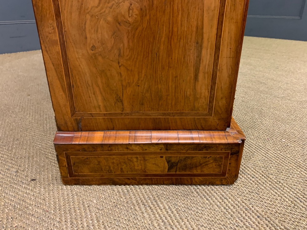 Victorian Burr Walnut Side Cabinet View XIII