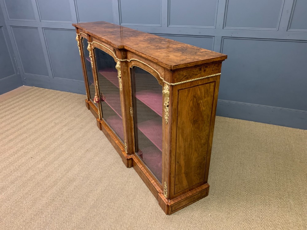 Victorian Burr Walnut Side Cabinet View XVI