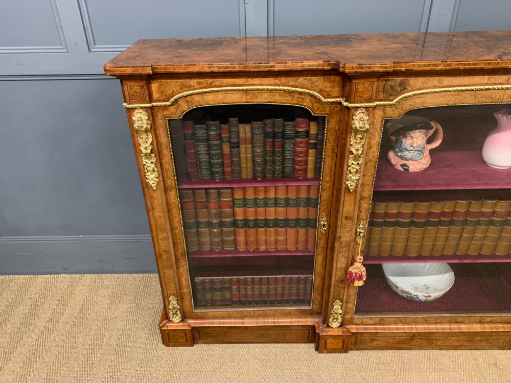 Victorian Burr Walnut Side Cabinet View XXI