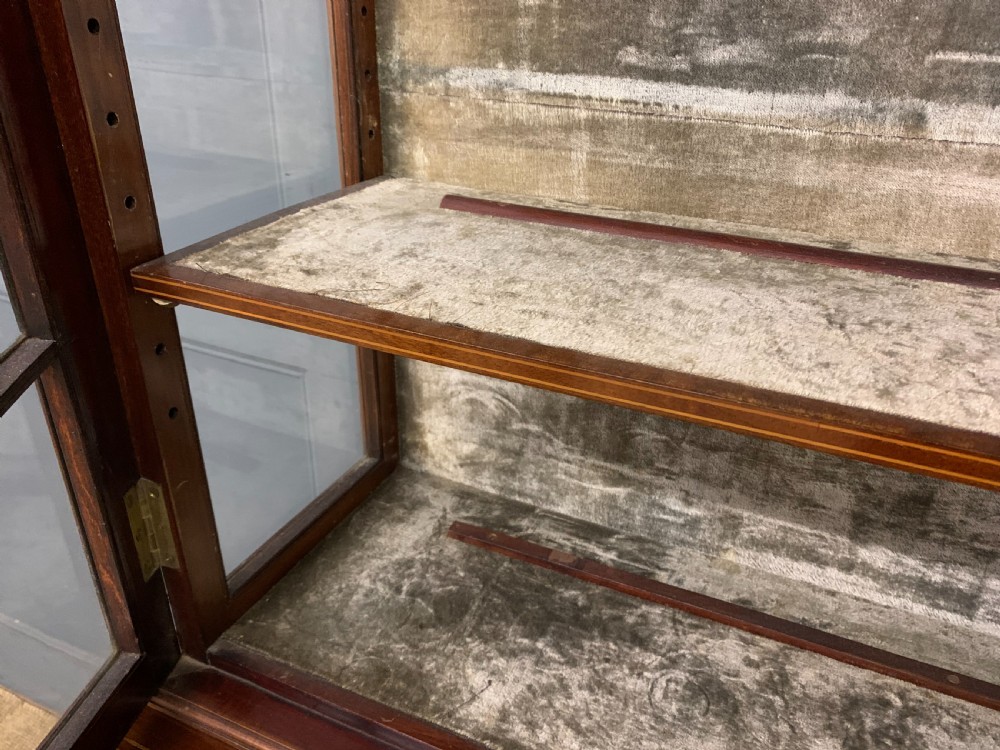 Inlaid Mahogany Display Cabinet View XIX