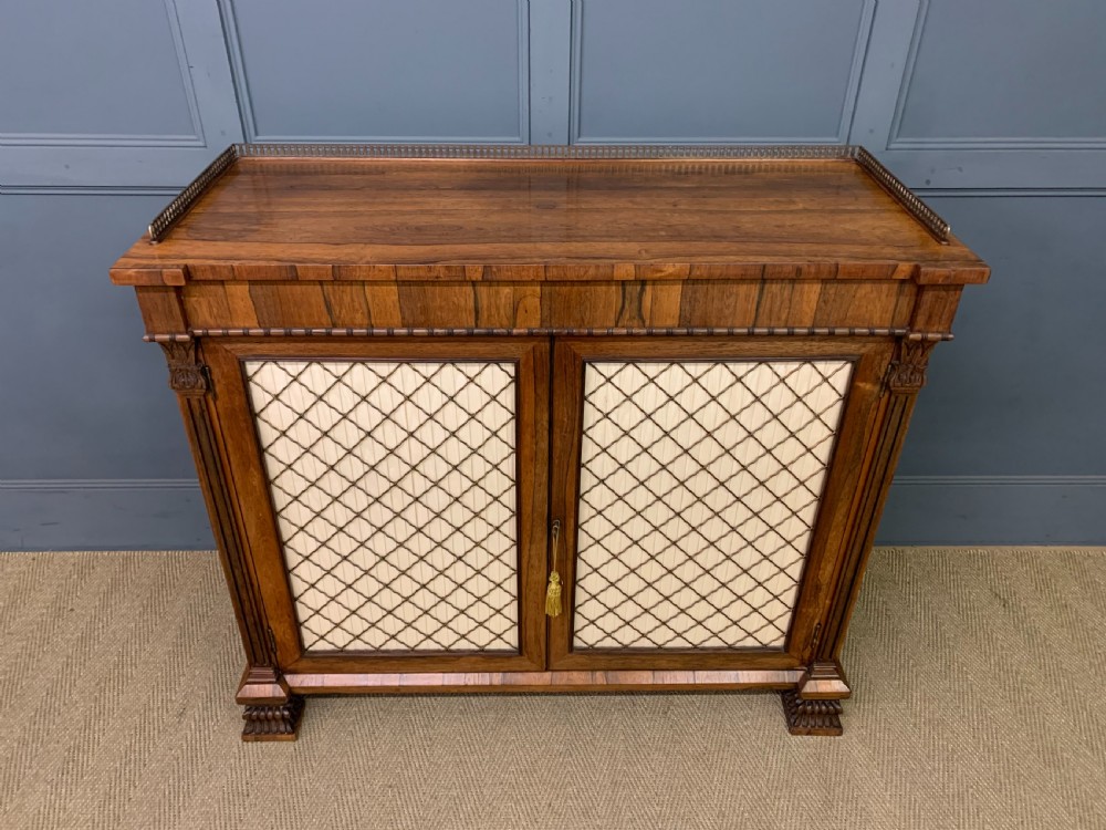 Regency Period Rosewood Side Cabinet View IV