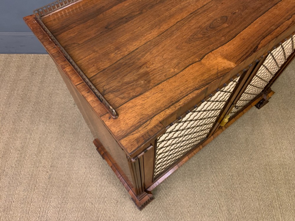 Regency Period Rosewood Side Cabinet View XVIII