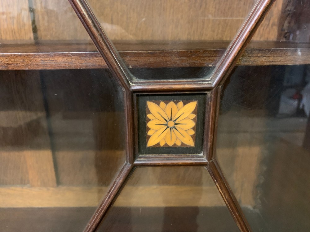 Edwardian Inlaid Mahogany Bookcase View VIII