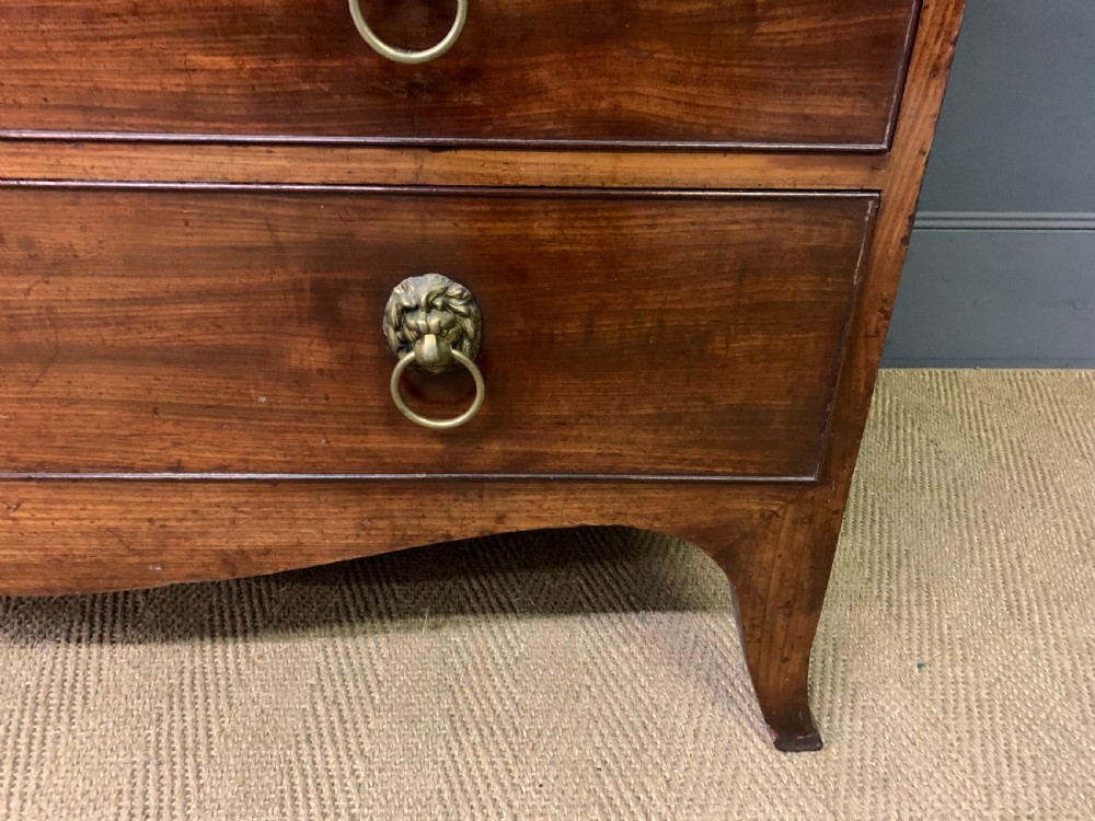 George III Mahogany Secretaire Bookcase View VII