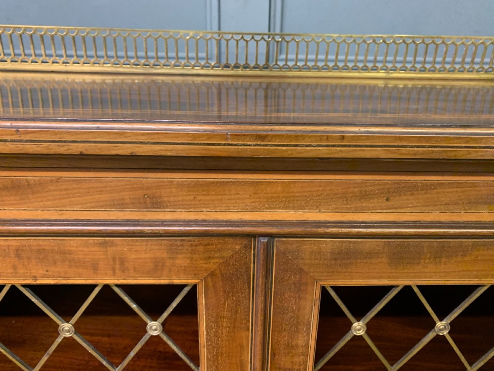 Inlaid Mahogany Bookcase View VI