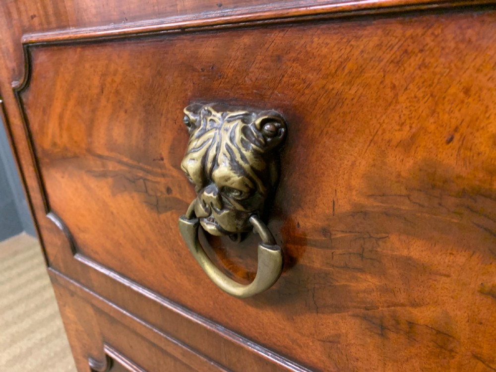 George III Mahogany Secretaire Bookcase View VII
