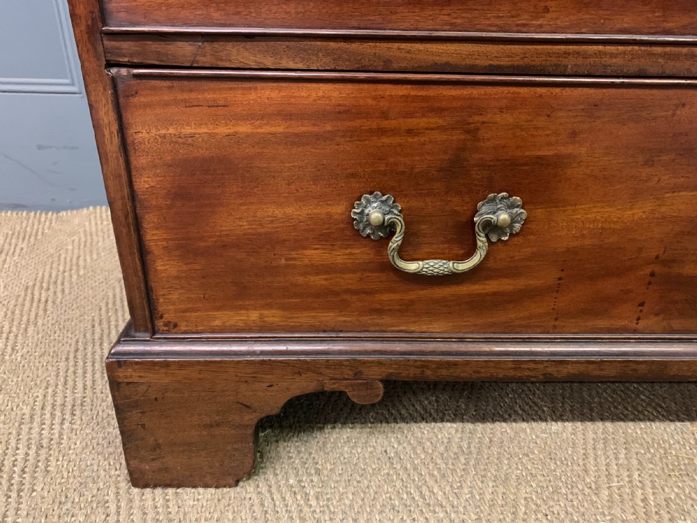 George III Mahogany Bachelors Chest of Drawers View IX