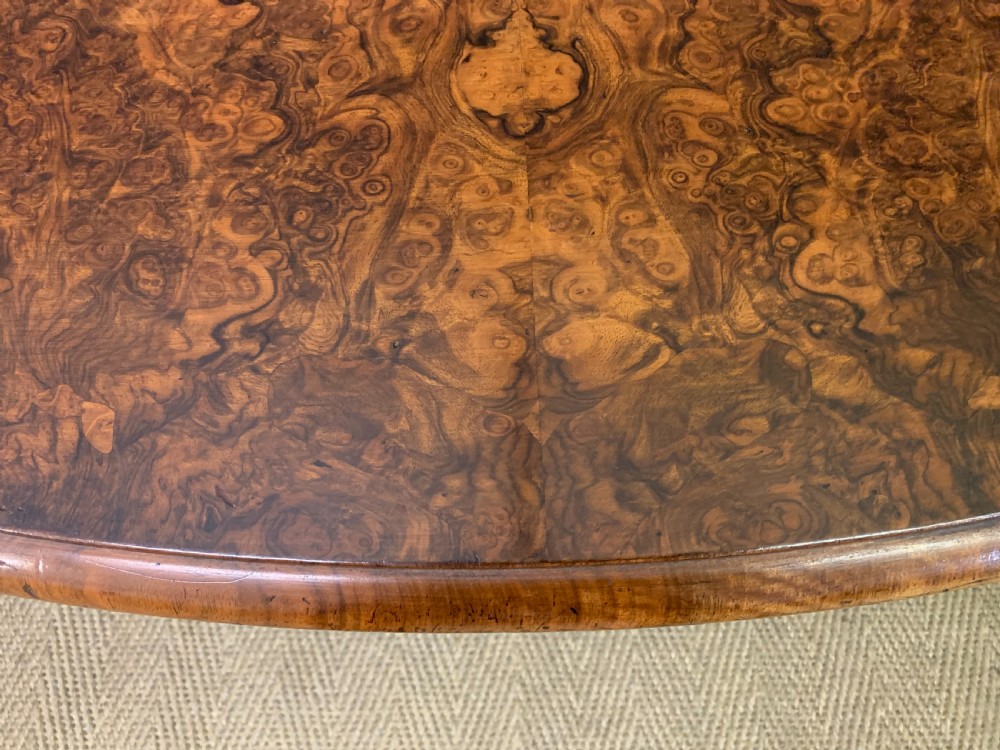 Large Sized Victorian Burr Walnut Coffee Table View VI