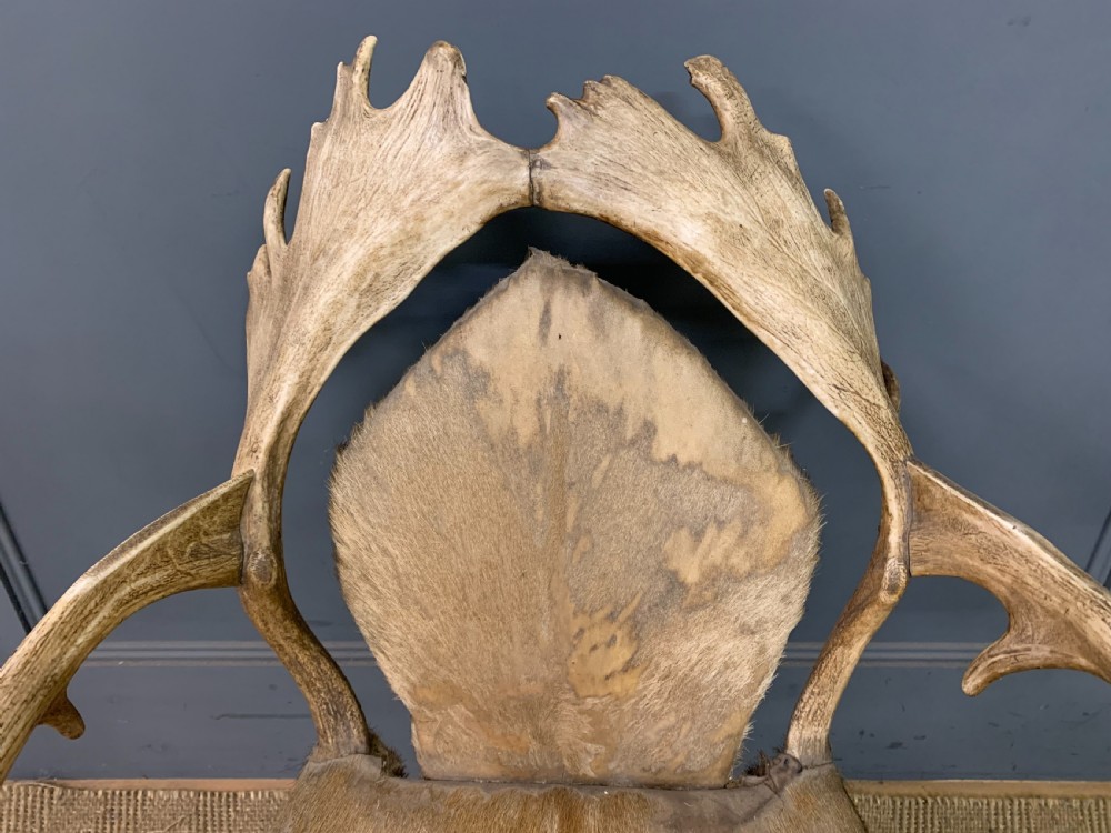A nineteenth-century armchair constructed from natural stag antlers with a natural hide upholstered seat and backrest, featuring hoof legs. View V