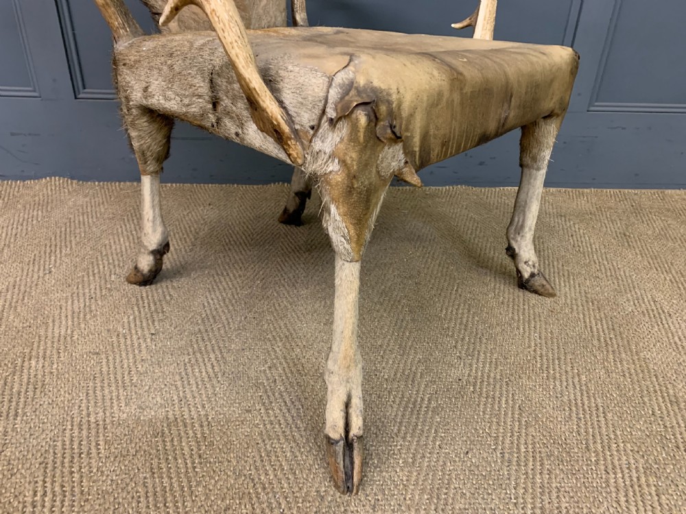 A nineteenth-century armchair constructed from natural stag antlers with a natural hide upholstered seat and backrest, featuring hoof legs. View VII