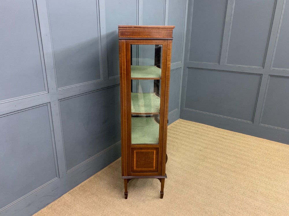 Serpentine Inlaid Mahogany Display Cabinet View VIII