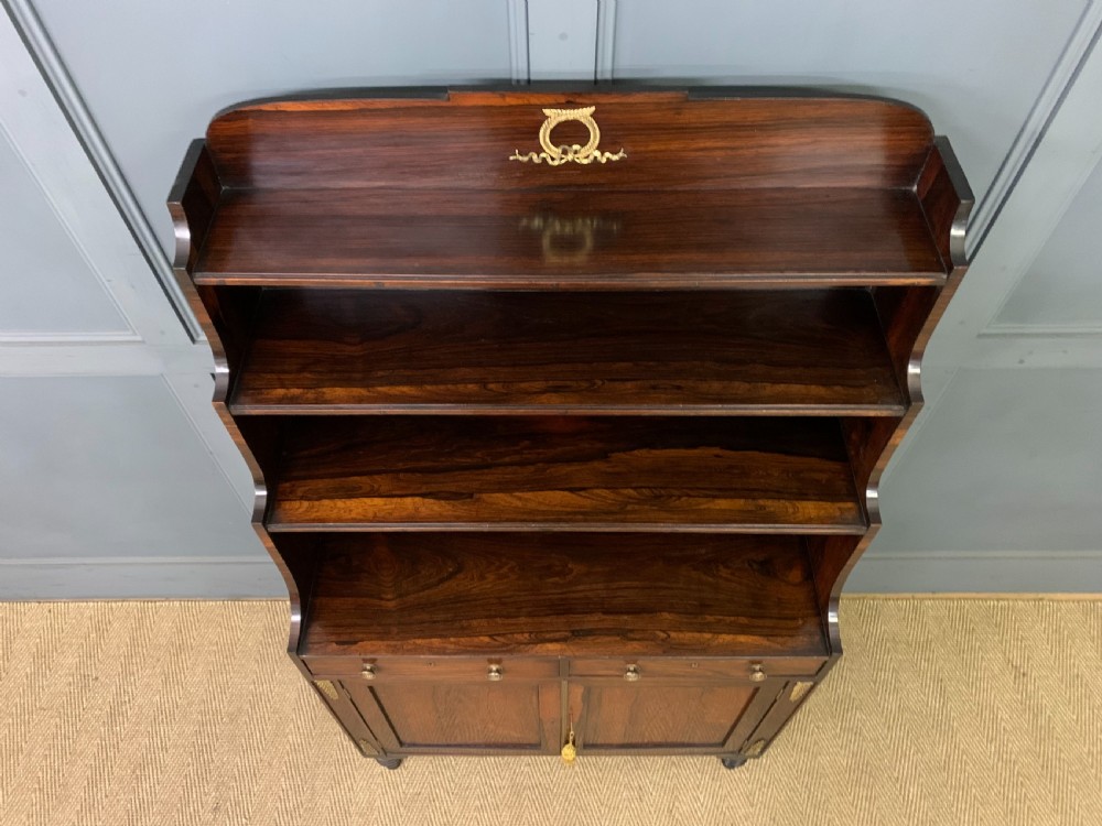 Regency Period Rosewood Waterfall Bookcase View VI