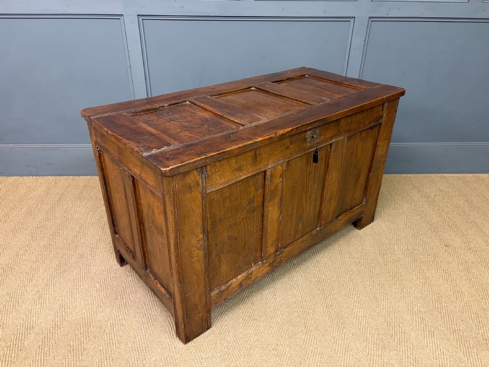 A Georgian oak coffer featuring a three-panel front framing, a hinged top, and a brass keyhole escutcheon. View X