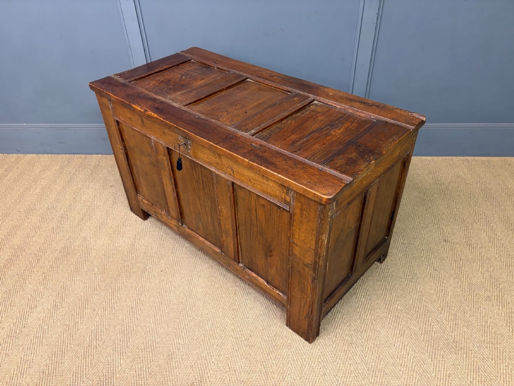 A Georgian oak coffer featuring a three-panel front framing, a hinged top, and a brass keyhole escutcheon. View XIII