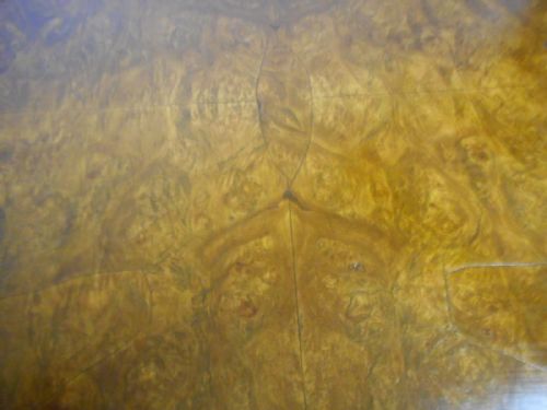 ANTIQUE BURR WALNUT COFFEE TABLE - ADDITIONAL PHOTO 4