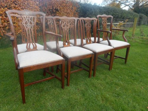 ANTIQUE 8 CHIPPENDALE OAK DINNING CHAIRS - ADDITIONAL PHOTO 13