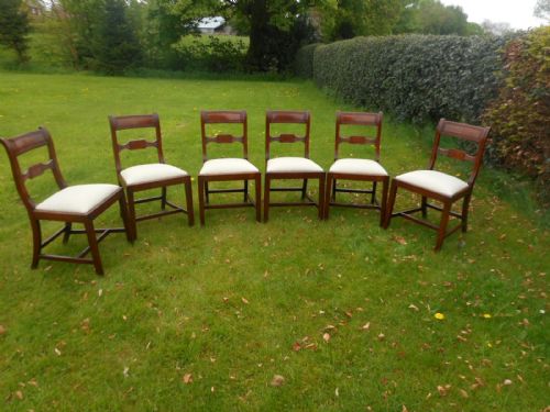 ANTIQUE REGENCY DINNING CHAIRS - ADDITIONAL PHOTO 18