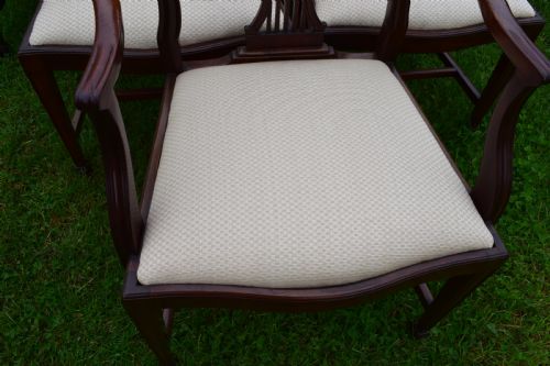 SET OF 6 HEPPELWHITE DINING CHAIRS - ADDITIONAL PHOTO 12