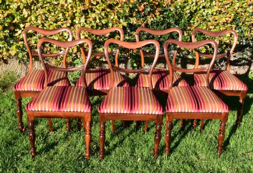 ANTIQUE ENGLISH REGENCY PERIOD SET OF ROSEWOOD DINNING CHAIRS - ADDITIONAL PHOTO 15