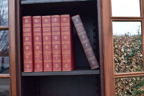 MAHOGANY LIBRARY BOOKCASE - ADDITIONAL PHOTO 9