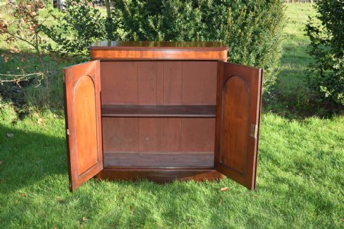 ANTIQUE VICTORIAN TWO DOOR CABINET - ADDITIONAL PHOTO 6