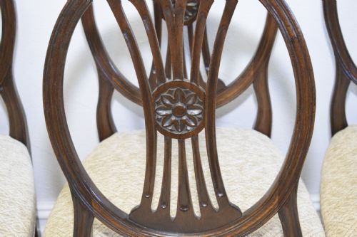 fig 6.  Early 20th Century set of 6 Hepplewhite Dining Chairs