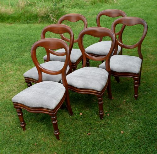 6 victorian balloon back dining chairs - CATEGORY: ANTIQUE CHAIRS - DATED VICTORIAN