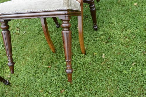 SET OF 4 REGENCY ROSEWOOD DINING CHAIRS - ADDITIONAL PHOTO 8