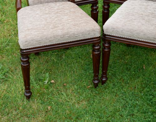 SET OF 4 REGENCY ROSEWOOD DINING CHAIRS - ADDITIONAL PHOTO 12