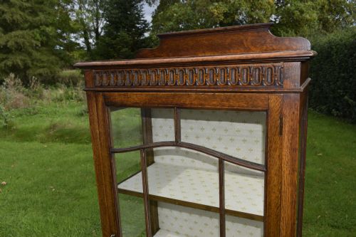 EARLY 20TH CENTURY OAK DISPLAY CABINET - ADDITIONAL PHOTO 9