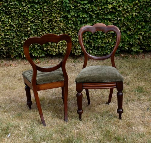 fig 5. A pair of Victorian mahogany crown back dining chairs with green velvet upholstered seats and turned front legs.