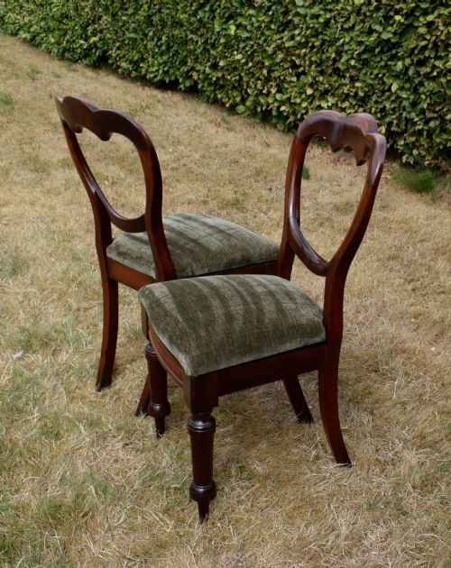 fig 6. A pair of Victorian mahogany crown back dining chairs with green velvet upholstered seats and turned front legs.