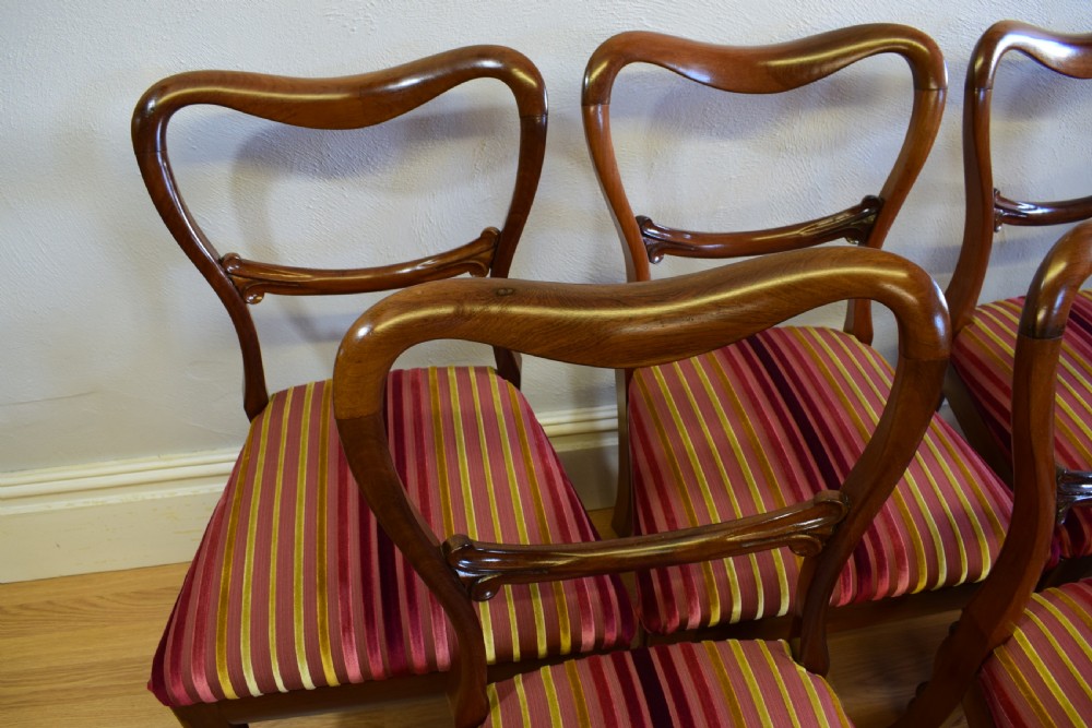 Antique English Regency Period Set of Rosewood Dinning Chairs View III