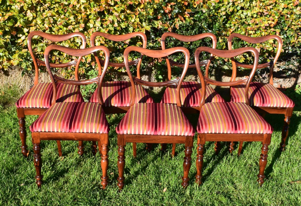 Antique English Regency Period Set of Rosewood Dinning Chairs View XVI