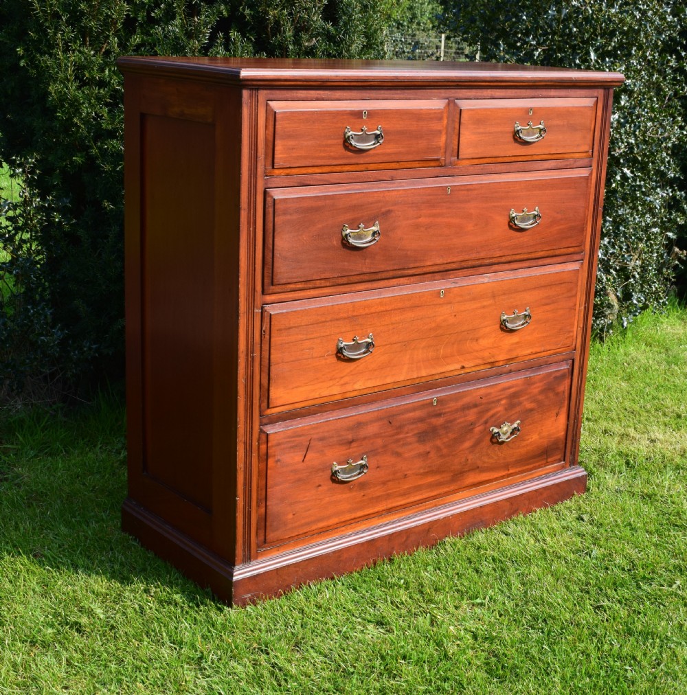 Edwardian Mahogany Chest of Drawer's View IV