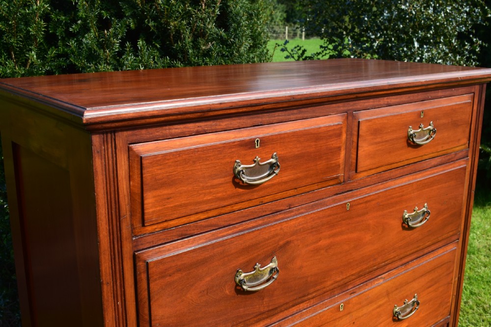 Edwardian Mahogany Chest of Drawer's View VI