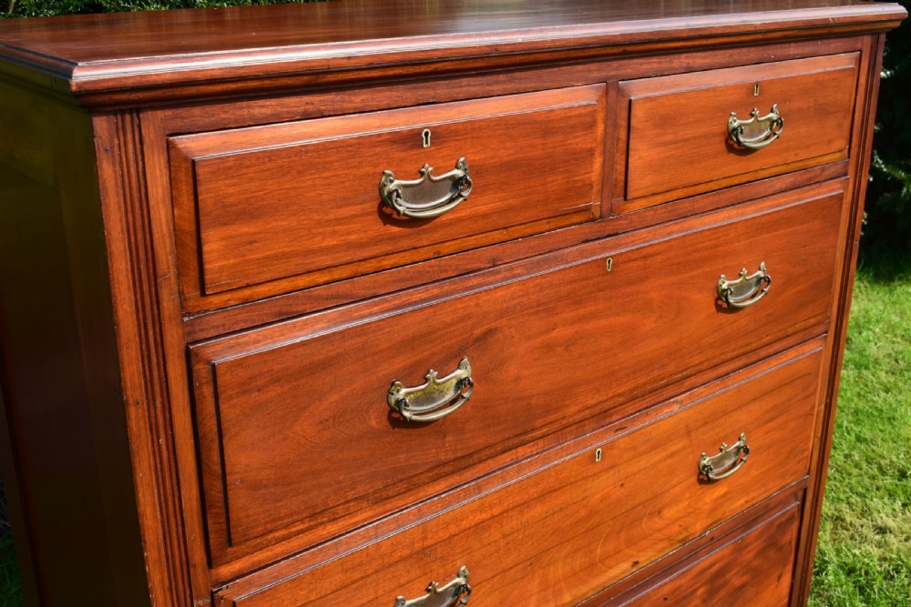 Edwardian Mahogany Chest of Drawer's View VII
