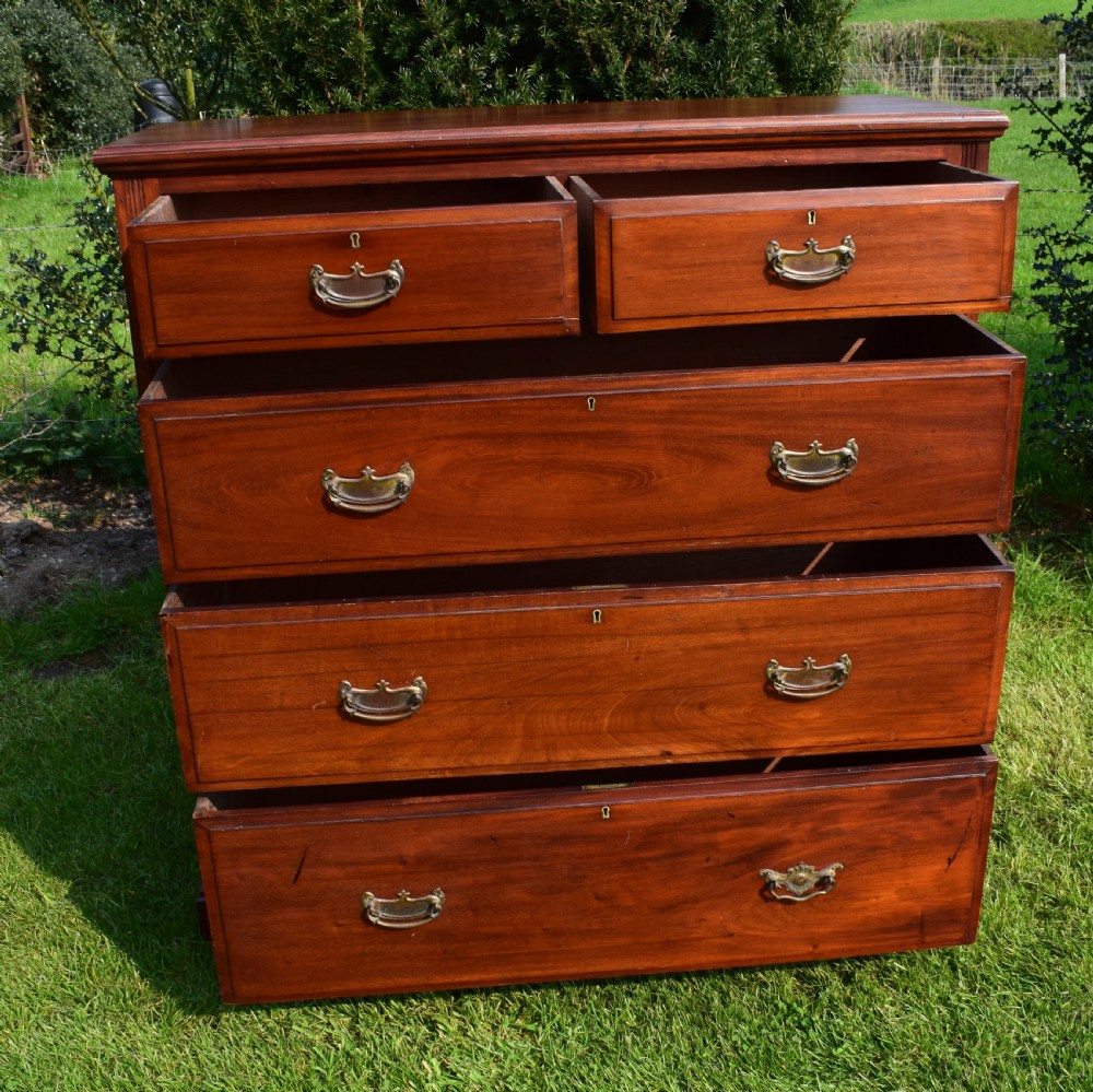 Edwardian Mahogany Chest of Drawer's View X
