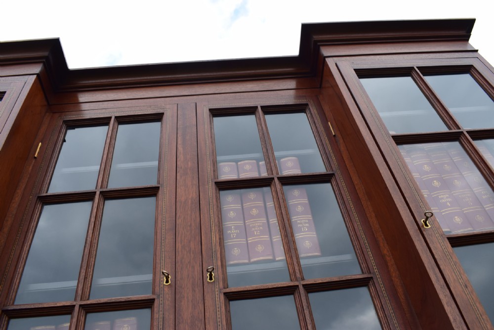 Mahogany Library Bookcase  View XVI