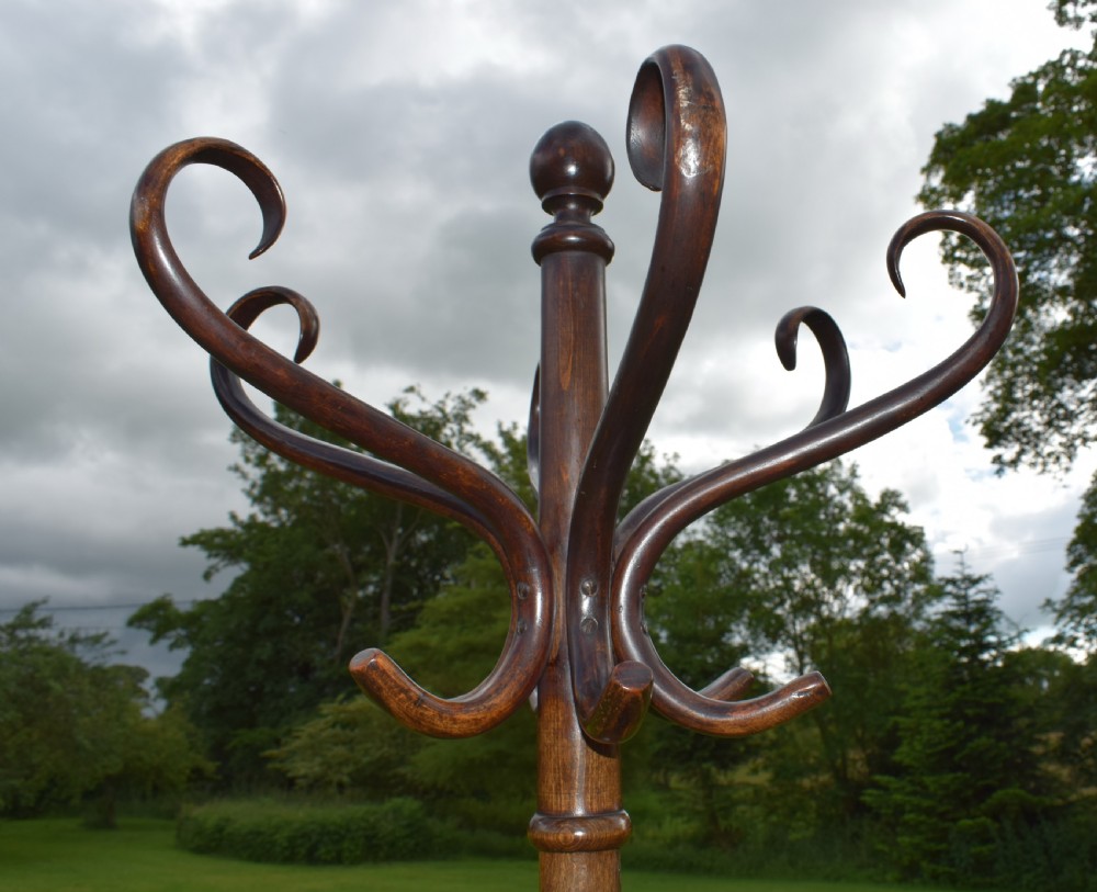 Antique Bentwood Hat Stand View VI