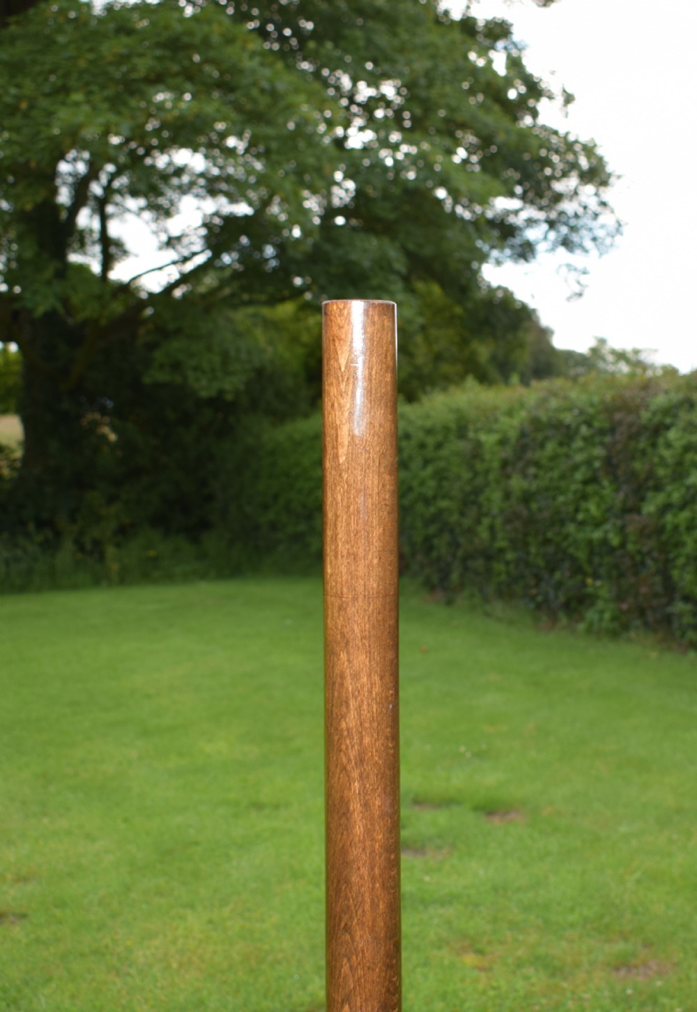 Antique Bentwood Hat Stand View VIII
